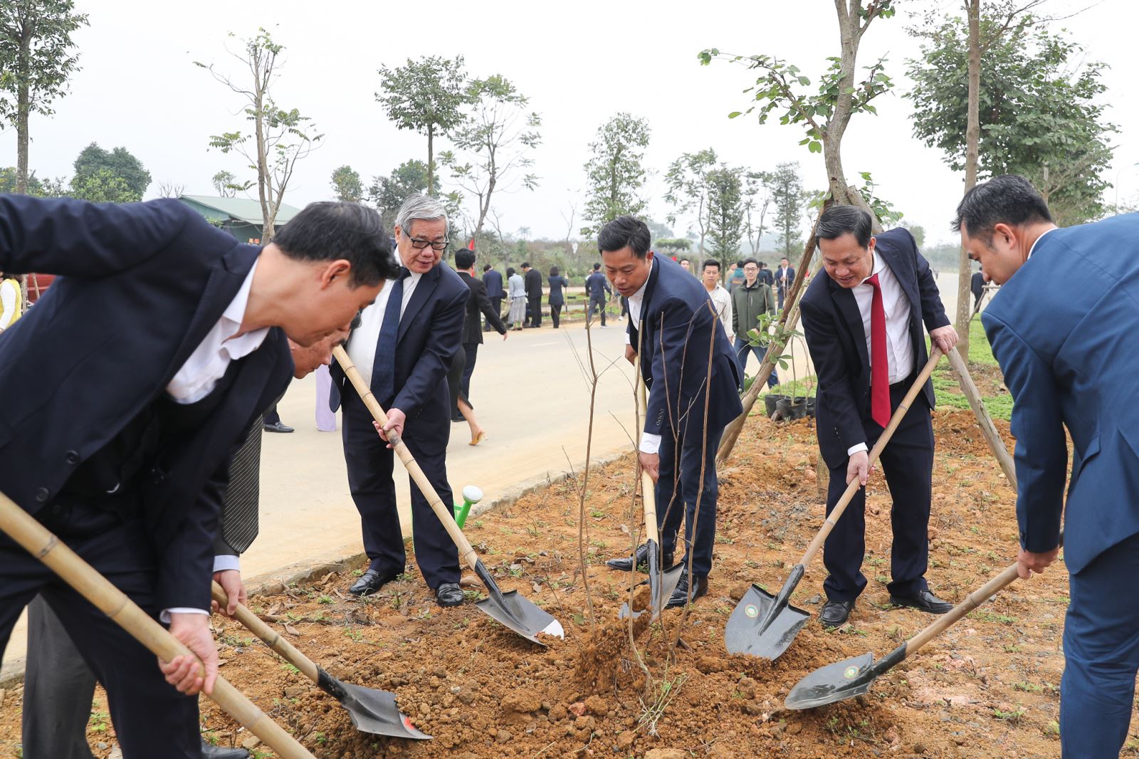 ĐHQGHN trồng cây đầu  xuân 1