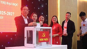 Thông báo về kế hoạch tổ chức Cuộc thi ảnh “Sắc vàng Hoa Dã Quỳ 2025”