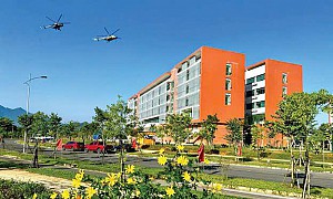 Thông báo về kế hoạch tổ chức Cuộc thi ảnh “Sắc vàng Hoa Dã Quỳ 2025”