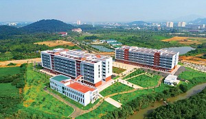 Thông báo về kế hoạch tổ chức Cuộc thi ảnh “Sắc vàng Hoa Dã Quỳ 2025”